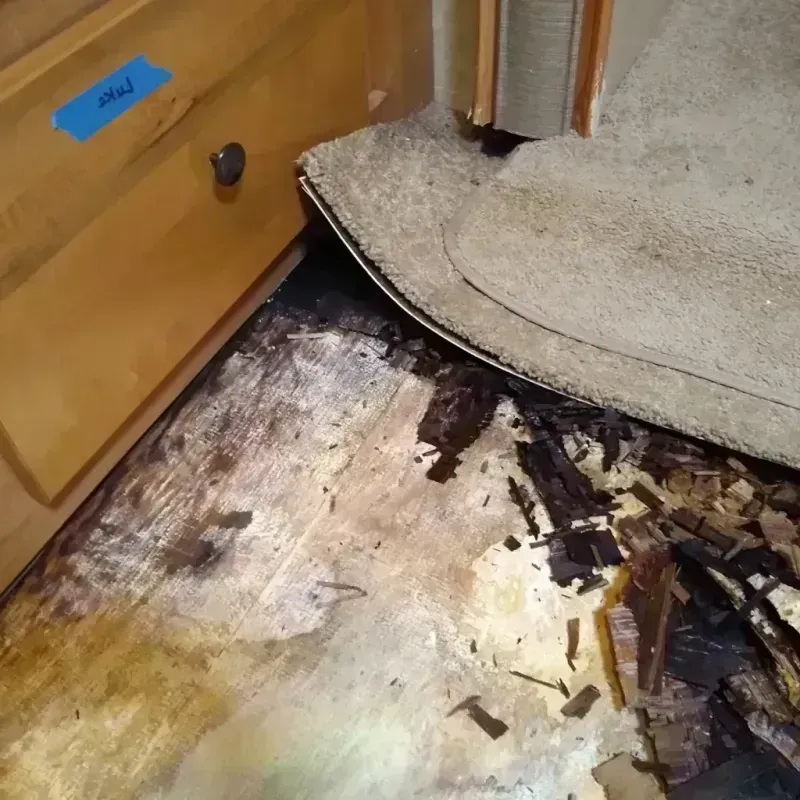 Wood Floor Water Damage in Laramie, WY